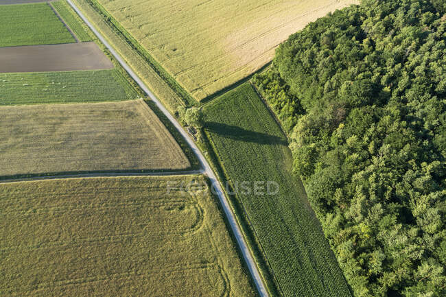 Германия, Бавария, Франкония, Вид с воздуха на зеленые поля и грунтовые дороги — стоковое фото
