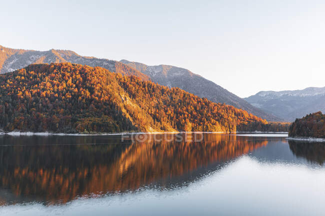 Vista panorâmica do lago Sylvenstein pela floresta contra o céu limpo durante o outono, Baviera, Alemanha — Fotografia de Stock