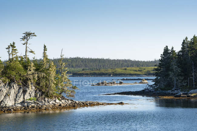 Канада, Новая Шотландия, залив Митчелл, чистое небо над небольшими лесистыми островами — стоковое фото