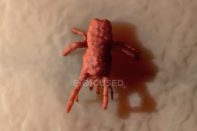 3D Рендеринг Візуалізація помаранчевого кліща на шкірі — стокове фото