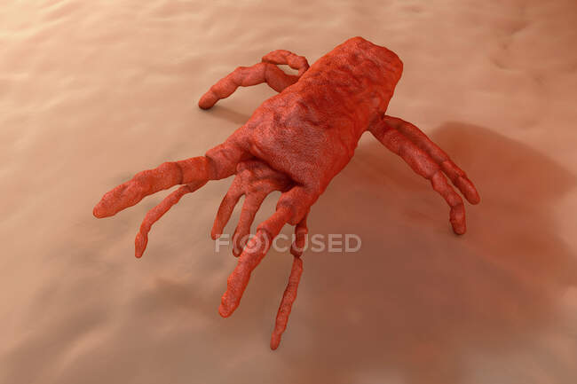 Illustration rendu 3D visualisation de l'acarien sur la peau — Photo de stock