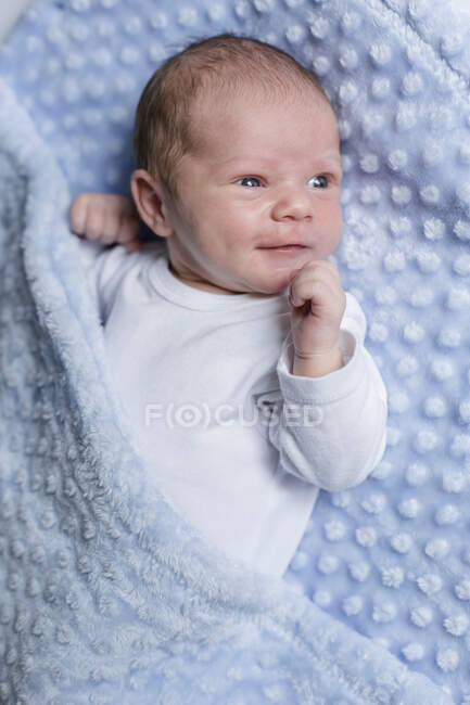Portrait Of A Newborn Baby Boy Lying On A Blanket — Tender 0 1 Months