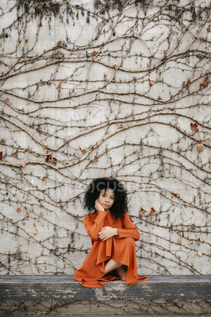 Porträt einer schönen jungen Frau im Kleid vor Betonwand mit Kletterpflanze — Stockfoto