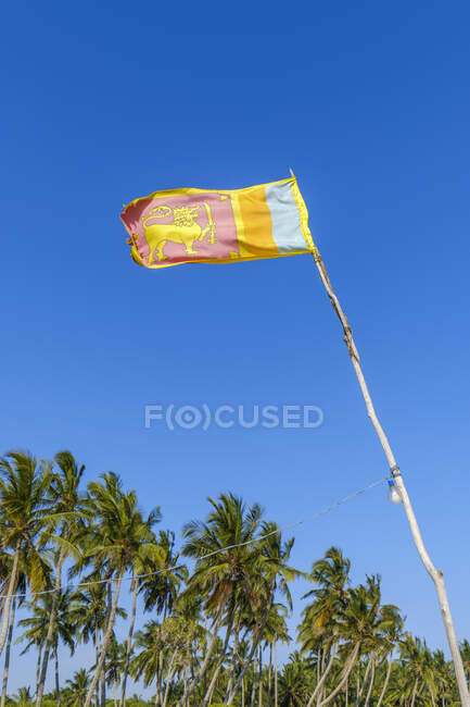 Sri Lanka, Province du Sud, Tangalle, Vue panoramique du drapeau sri-lankais — Photo de stock
