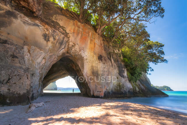 Nueva Zelanda, arco de Cathedral Cove y playa costera de arena en Te Whanganui-A-Hei Marine Reserve - foto de stock