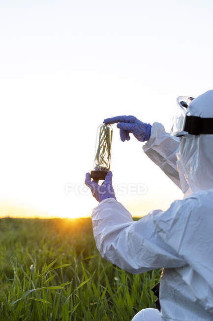 Científica investigando en campo y sosteniendo un vaso con planta al atardecer - foto de stock