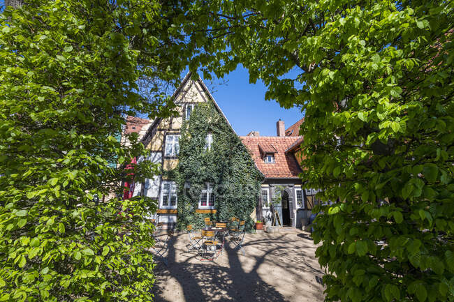 Germania, Sassonia-Anhalt, Quedlinburg, Arco di siepi con casa ricoperta di edera verde sullo sfondo — Foto stock