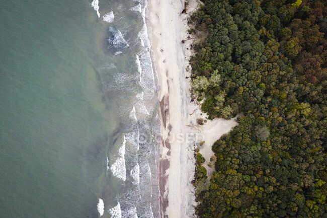 Russia, Kaliningrad Oblast, Zelenogradsk, Aerial view of forested coastline of Baltic Sea — Stock Photo
