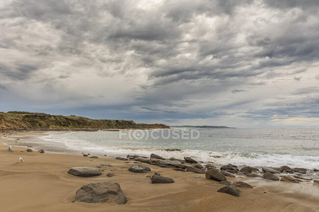 oceania beaches