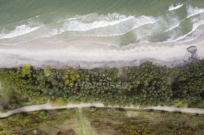 Russia, Kaliningrad Oblast, Zelenogradsk, Veduta aerea delle coste boschive del Mar Baltico — Foto stock