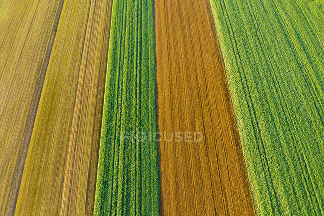 Alemania, Baden Wurttemberg, Rems-Murr-Kreis, Vista aérea de los campos en otoño - foto de stock