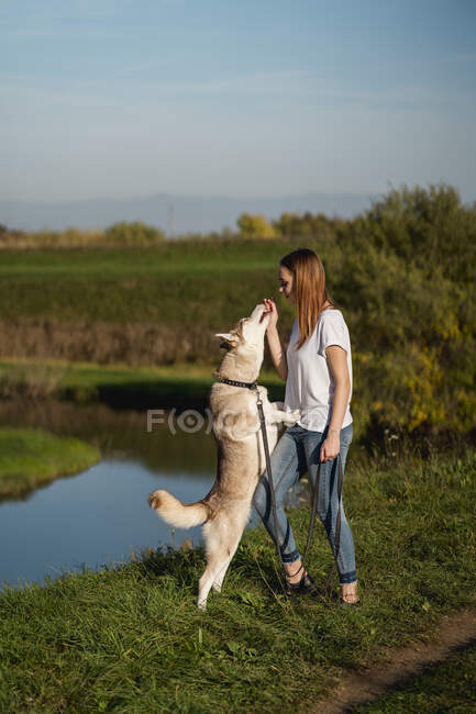 Young woman teaching her dog in nature — Stock Photo