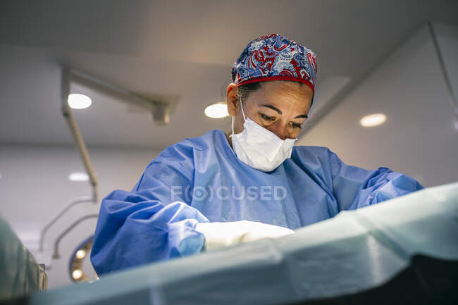 Ветеринар під час операції. — стокове фото