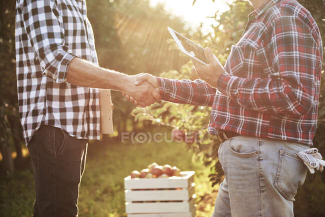 I coltivatori di frutta d'accordo su un accordo, stringendo la mano — Foto stock