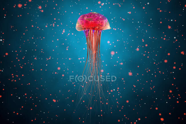 Resa tridimensionale di meduse rosse incandescenti che nuotano sott'acqua — Foto stock