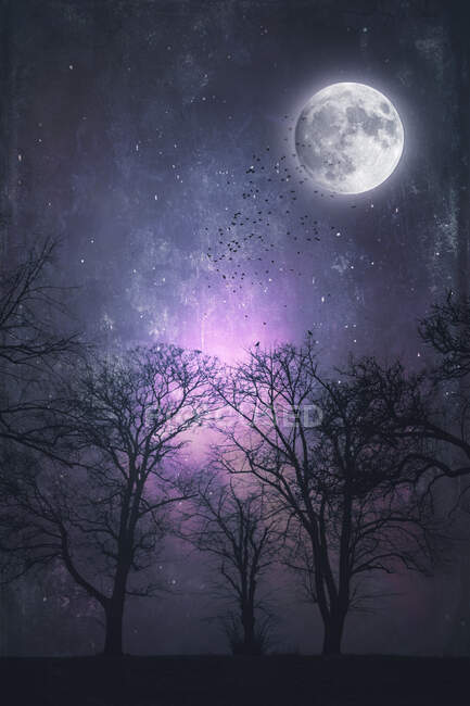 Árboles y luna llena por la noche - foto de stock