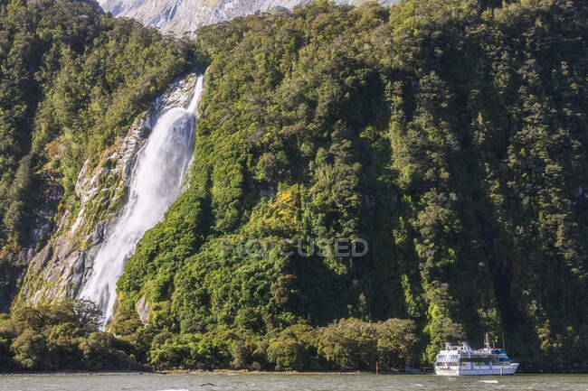 New Zealand, Bowen Falls splashing down forested cliff — Stock Photo