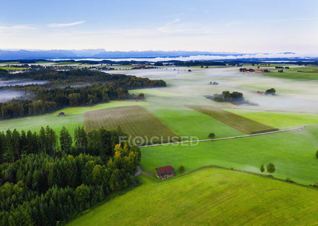 Alemanha, Baviera, Munsing, Vista aérea do nevoeiro que flutua sobre o campo verde — Fotografia de Stock