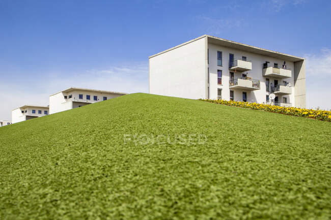 Німеччина, Баварія, Мюнхен, зелений газон перед житловими будинками в парку Терезієн. — стокове фото