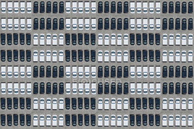 Vista aérea de un gran número de coches en blanco y negro dispuestos en patrón comprobado - foto de stock