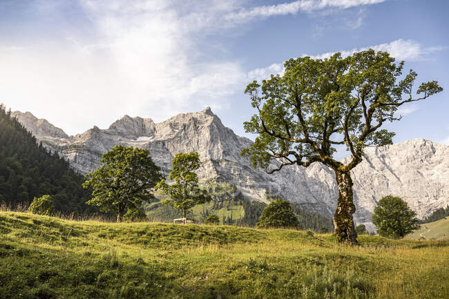Grosser Ahornboden, Hinterriss, Karwendel, Tirol, Austria - foto de stock