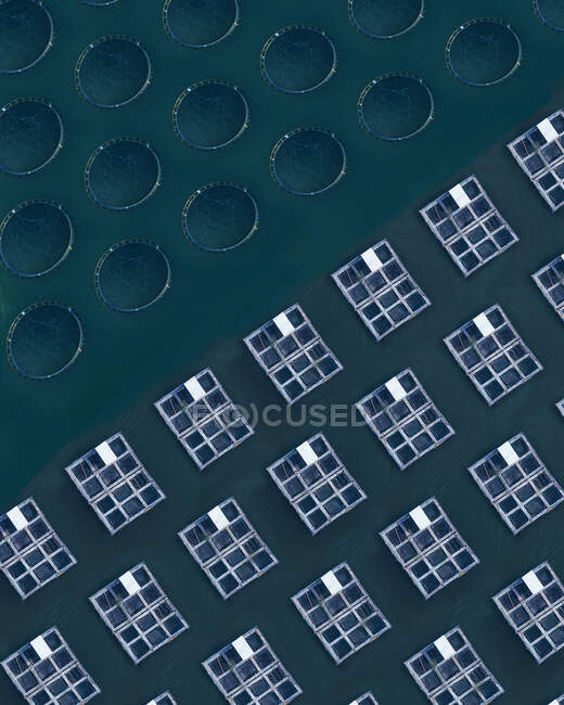 Vista aérea de la piscifactoría y langosta - foto de stock