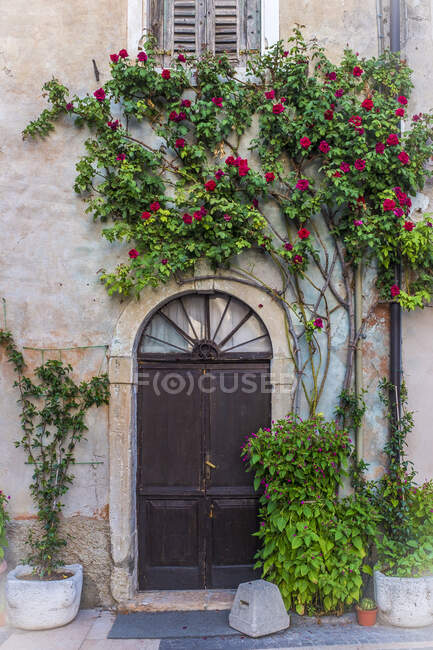 Italia, Provincia de Verona, Lazise, Flores en maceta que florecen junto a las puertas de entrada de la casa - foto de stock