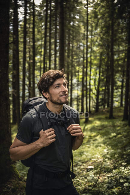 Hombre con mochila en un viaje de senderismo en el bosque, Karwendel, Tirol, Austria - foto de stock