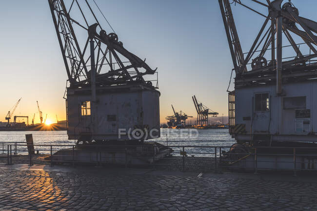 Germania, Amburgo, Gru del porto vecchio sulla riva dell'Elba al tramonto — Foto stock