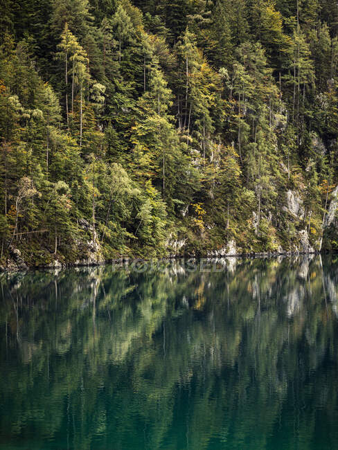 Lago di Hinterstein, Kufstein, montagne Kaiser, Tirolo, Austria — Foto stock