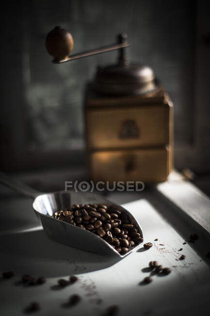 Colher de grãos de café torrados com moedor de café no fundo — Fotografia de Stock