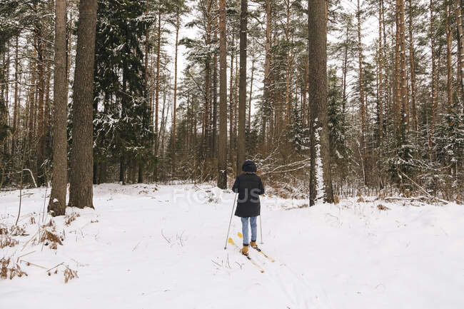 Погляд на жінку на лижах у зимовий ліс. — стокове фото