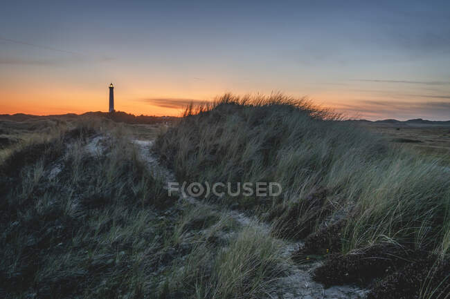 Denmark, Hvide Sande, Grassy coast at dusk with lighthouse in background — Stock Photo