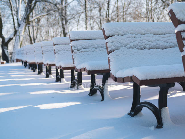 Rows of snow-covered benches — Stock Photo