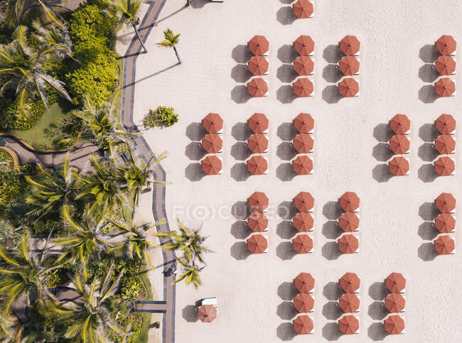 Indonésia, Bali, Vista aérea de guarda-chuvas e palmas na praia — Fotografia de Stock