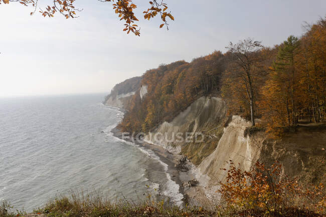 Germania, Ruegen, Scogliere di gesso con foresta autunnale sul Mar Baltico — Foto stock
