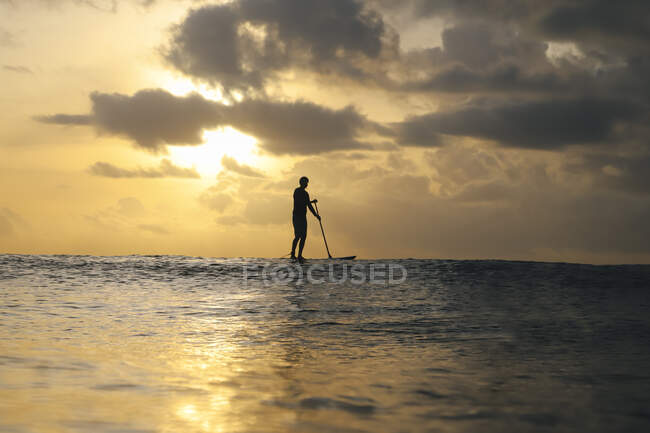 Surfista de Sup ao pôr do sol, Bali, Indonésia — Fotografia de Stock