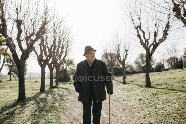 Старий, що ходить у зимовому парку, спираючись на свою вуаль. — стокове фото