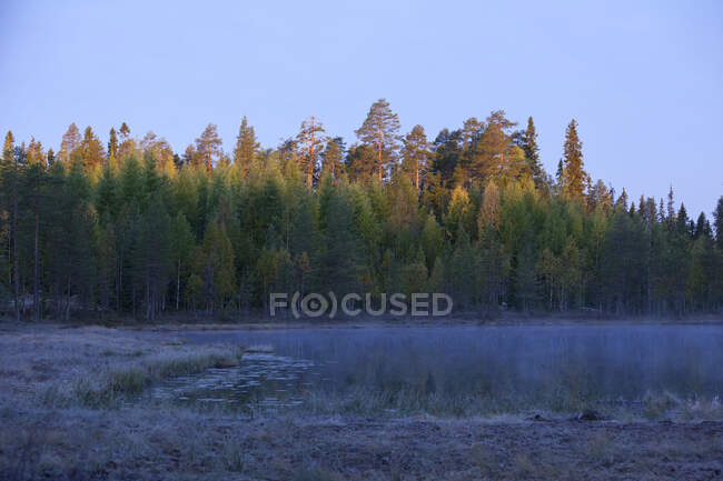 Finlandia, Kainuu, Kuhmo, Lakeshore all'alba dell'autunno — Foto stock