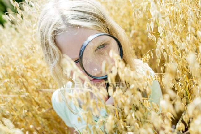 Menina examinando as orelhas de trigo no campo, com lupa — Fotografia de Stock