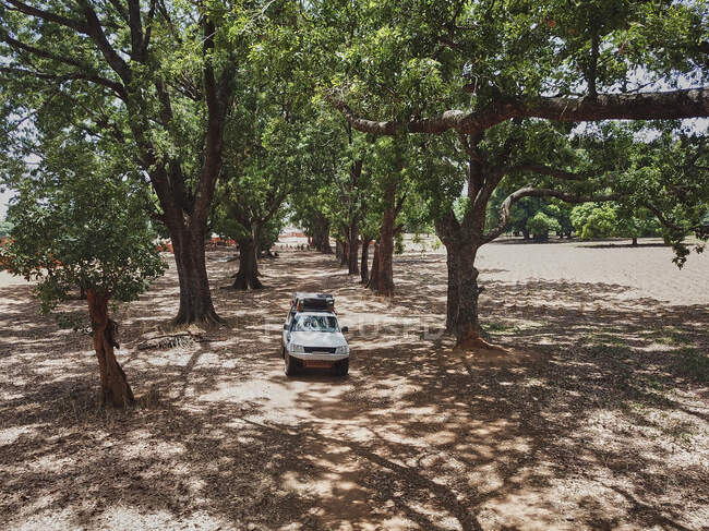 Буркина-Фасо, внедорожник на выложенной деревьями грунтовой дороге — стоковое фото