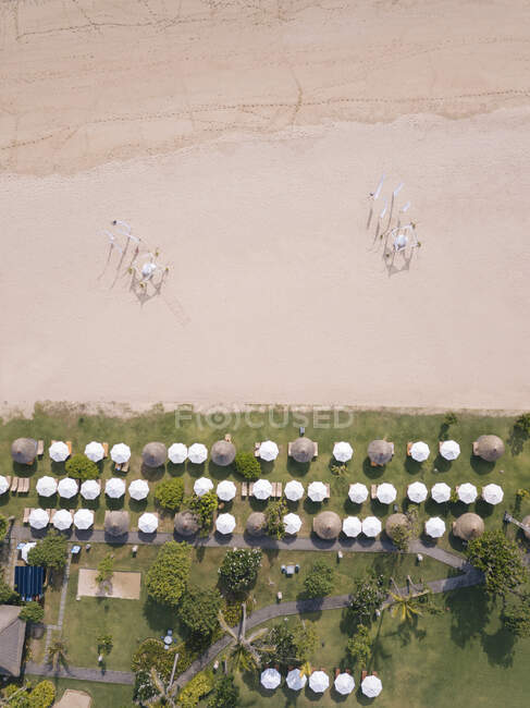 Indonesia, Bali, Nusa Dua, Aerial view of rows of umbrellas on beach — Stock Photo