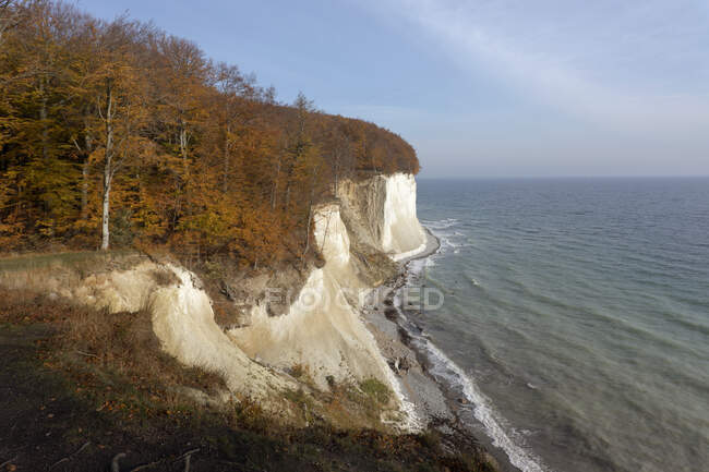 Germania, Ruegen, Scogliere di gesso con foresta autunnale sul Mar Baltico — Foto stock