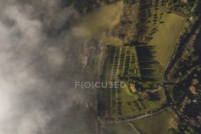 Італія, біля Перуджі, Повітряний вид туману в долині. — стокове фото
