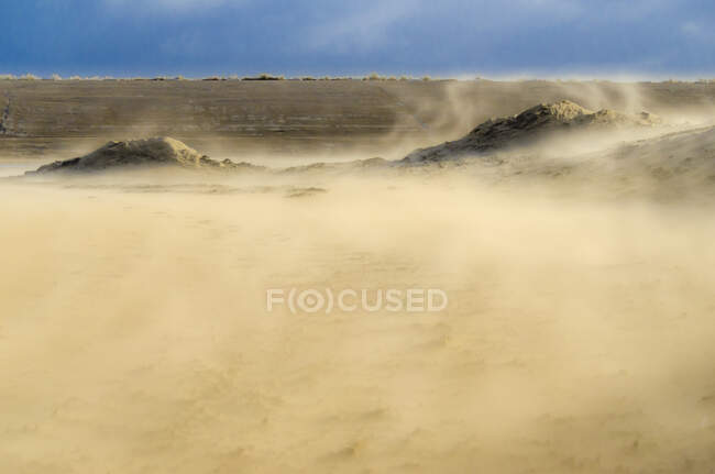 Pays-Bas, Goeree-Overflakkee, tempête de sable dans les dunes — Photo de stock