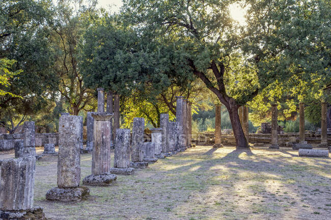 Grecia, Olimpia, Ruinas de la antigua palestra - foto de stock