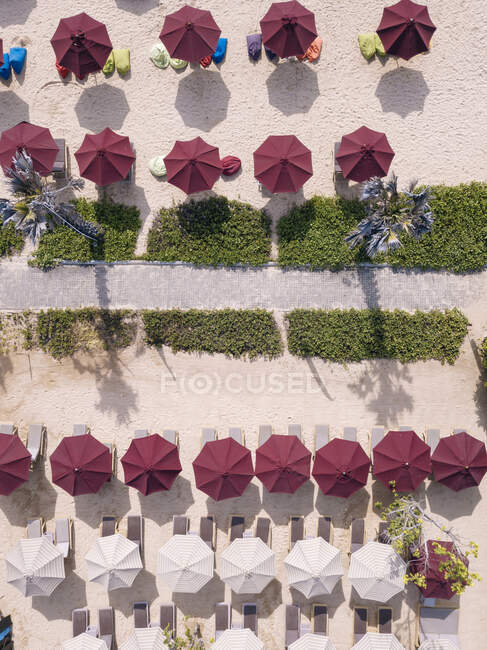 Indonesia, Bali, Nusa Dua, Veduta aerea degli ombrelloni sulla spiaggia — Foto stock
