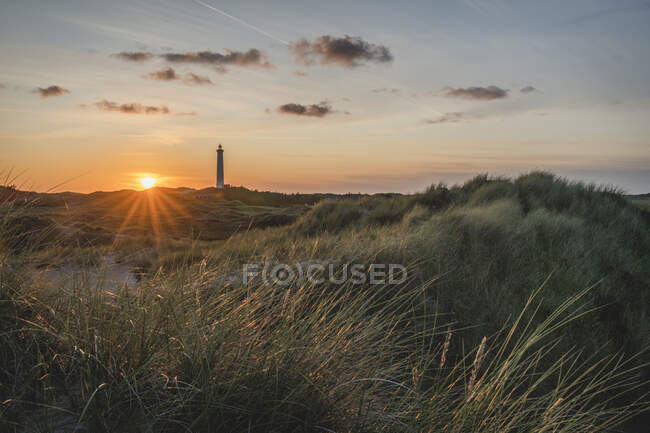 Danimarca, Hvide Sande, costa erbosa al tramonto con faro sullo sfondo — Foto stock