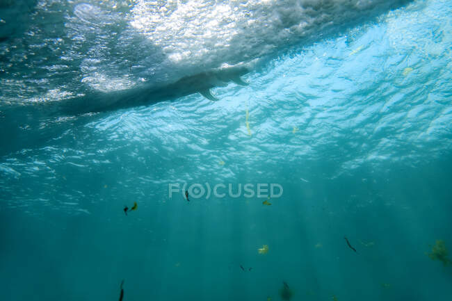 Indonésie, Bali, Vue sous-marine de la vague océanique — Photo de stock