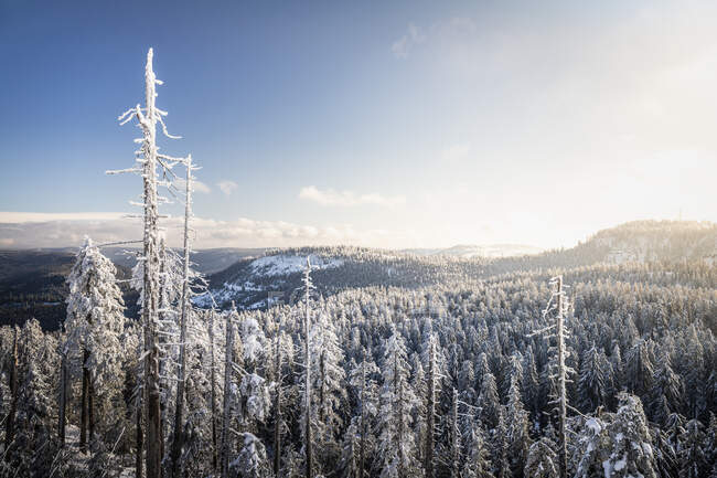 Paisagem de inverno em Hornisgrinde, Floresta Negra, Alemanha — Fotografia de Stock